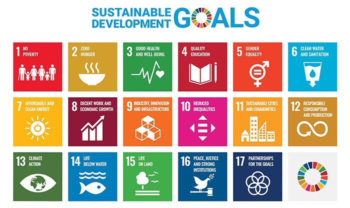 SDG Grid